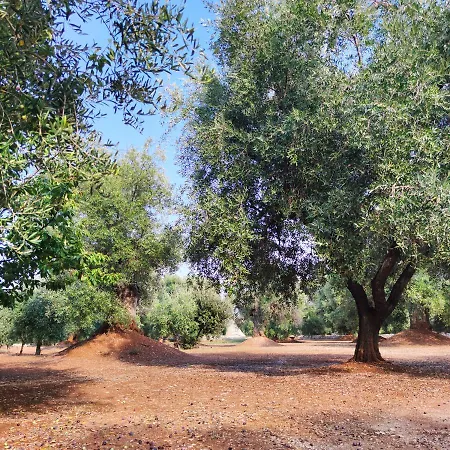 Masseria La Foggia *